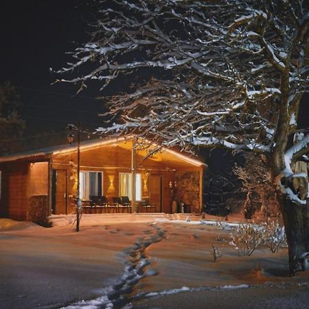 Family Hotel Maia - Cемейная Гостиница Майя Dashbashi 외부 사진