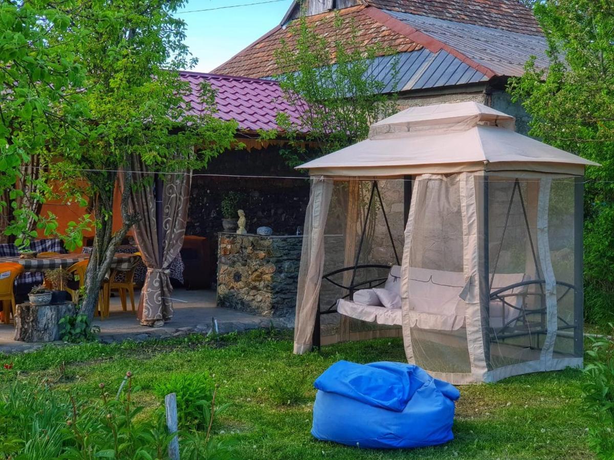 Family Hotel Maia - Cемейная Гостиница Майя Dashbashi 외부 사진