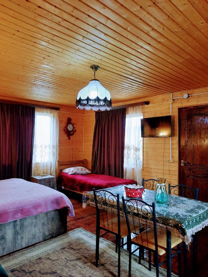 Family Hotel Maia - Cемейная Гостиница Майя Dashbashi 외부 사진