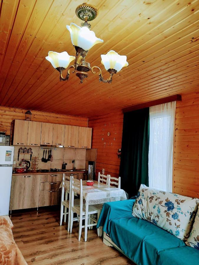 Family Hotel Maia - Cемейная Гостиница Майя Dashbashi 외부 사진