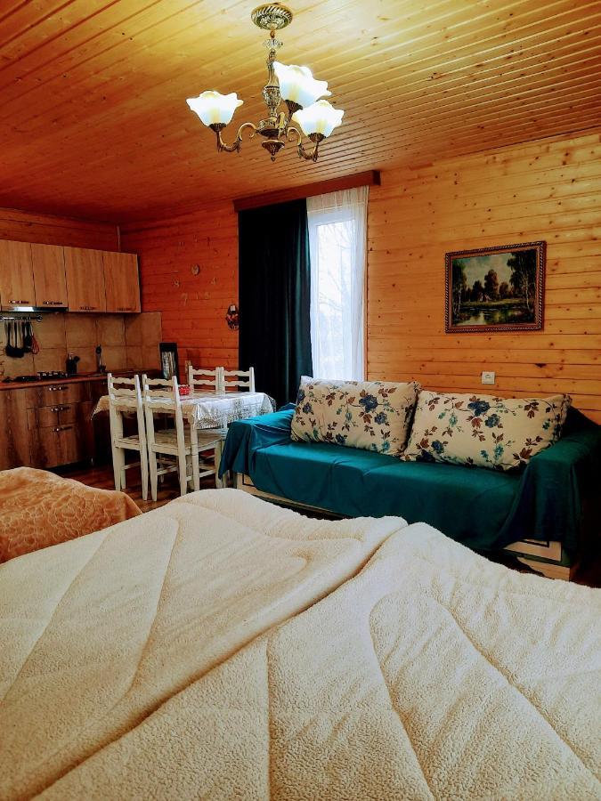 Family Hotel Maia - Cемейная Гостиница Майя Dashbashi 외부 사진