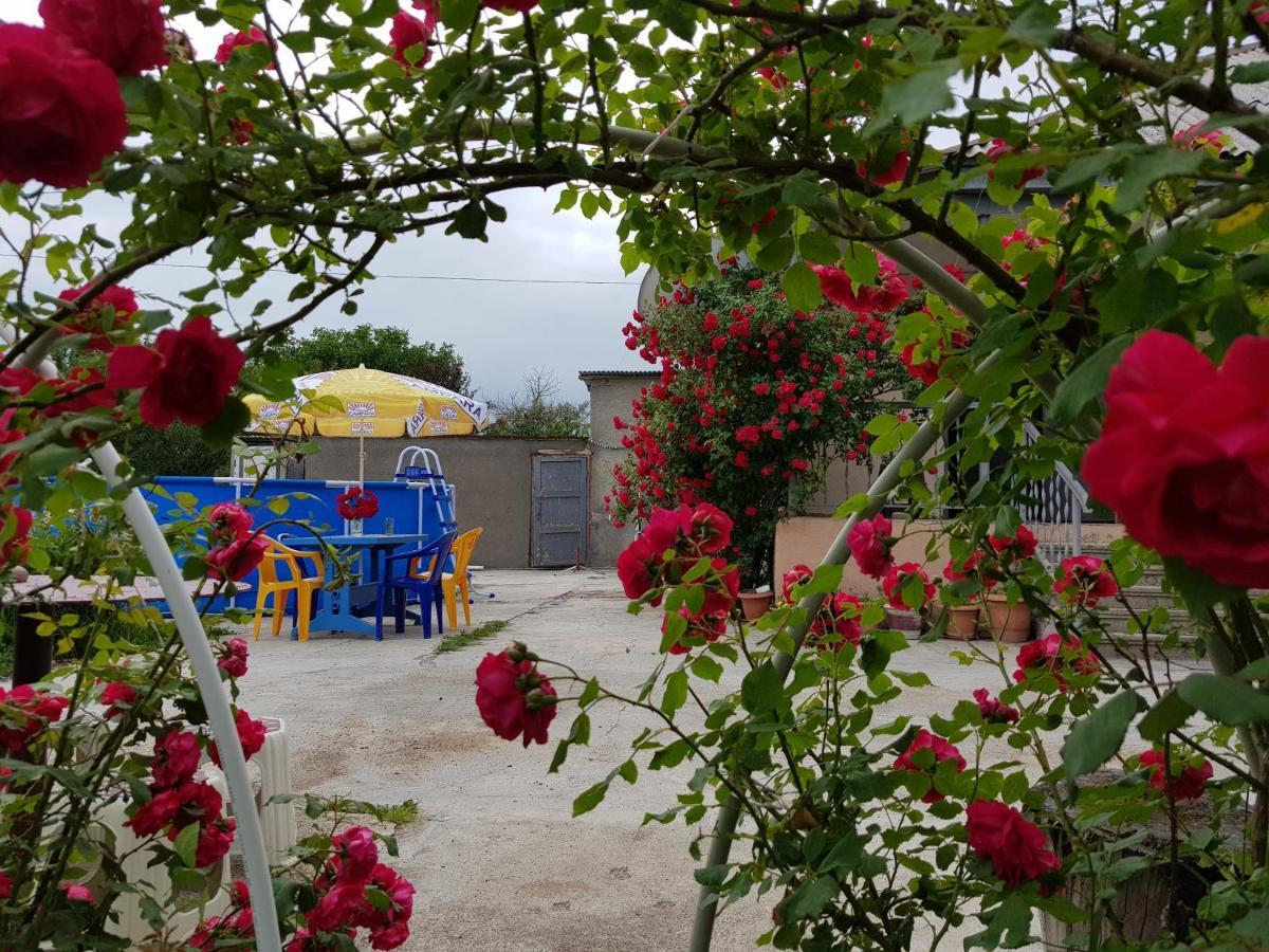 Family Hotel Maia - Cемейная Гостиница Майя Dashbashi 외부 사진
